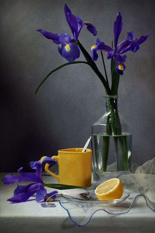 مدل رنگ روغن اورژینال